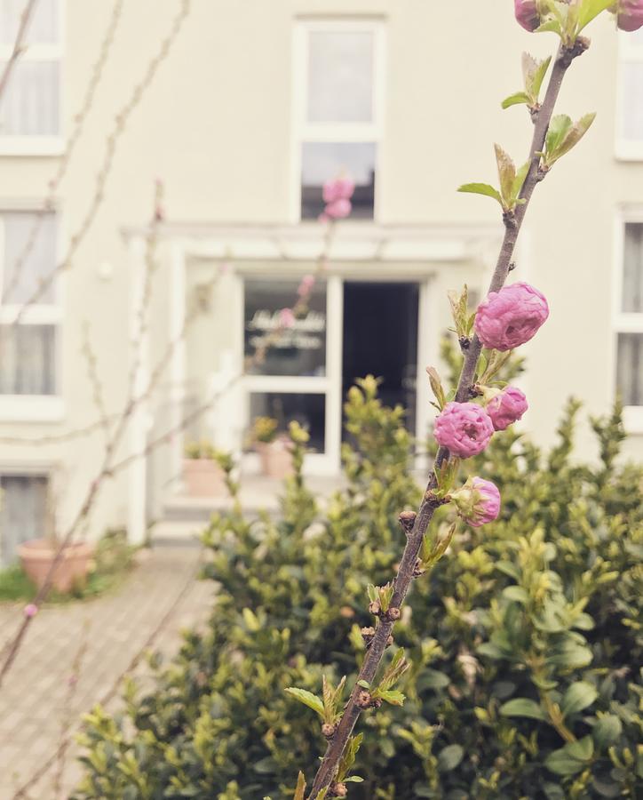 Hotel Gramlich Heddesheim 외부 사진